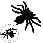 Spider brooch clip