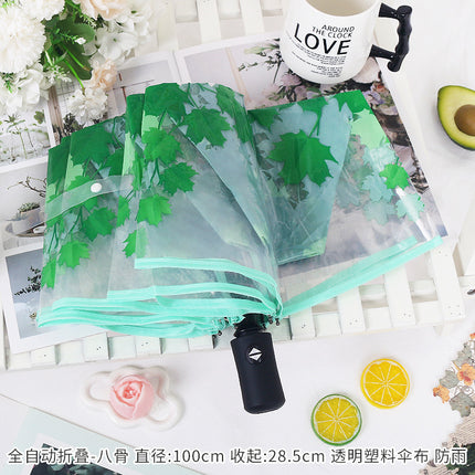 Fully Automatic Folding Plastic Transparent Cherry Blossom Umbrella for Women, Long Handle Apollo Style, Fresh and Simple, for Children, Students, Performances, Wholesale