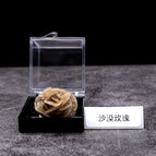 Desert rose belt box 2- 2.5cm