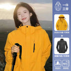 96888 same style for men and women-sunflower [three-in-one detachable] / S