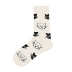 (cat head) / One size fits all