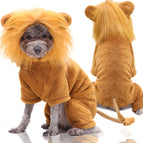 Four-legged flannel golden retriever Lion / XS back length 20cm
