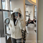 Bone platinum slim fit sweatshirt / 2 yards = s