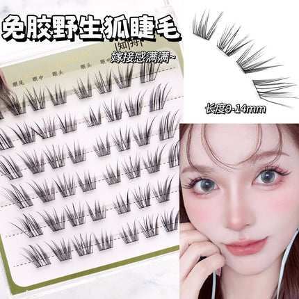 [6 Rows of Glue-Free] New Chinese Style Qingqiu Fox New Soft New Fox False Eyelashes Natural Photogenic Oblique Flying Style