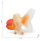 Pl127-1928 red-crowned fish 35g