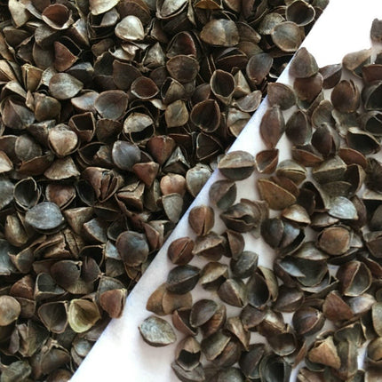 Factory supply factory wholesale sweet buckwheat shell high temperature washing disinfection dust-free pillow filler bulk whole