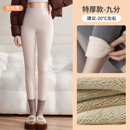 Fleece-Lined Leggings for Women, Autumn and Winter Style, Fleece Pants, Thermal Pants, 2025 New Winter Thickened Lamb Fleece Warm Cotton Pants