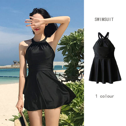Swimwear Women's Cross-border New Hot Style Slim Fat Girls Internet Celebrated High-end plus size Conservative Hot Spring Swimwear
