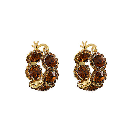 Brown Crystal Hoop Earrings, Feminine Accessible Luxury Earrings, 2025 New Internet Celebrity Hot Style High-End Earrings for Women