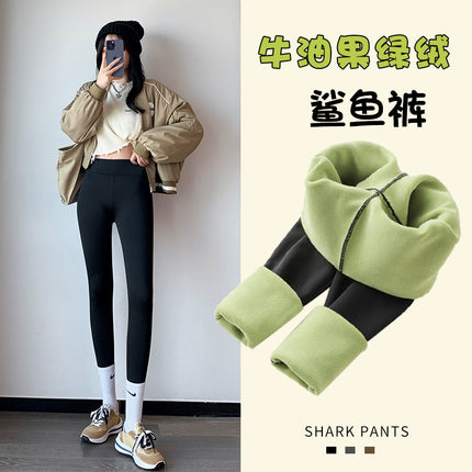 Source Shark Pants Women's Velvet Outerwear Summer High Waist Slim Fit Slimming Thickened Leggings Fitness Yoga Delivery