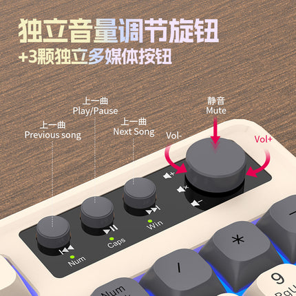 RAIKU Lei Kui K98/T98 customized game keyboard and mouse suit three-color wired luminous desktop 98 keys