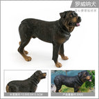 PL127-1442 Rowena dog 300g