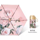 Bian 40% off 】pink peony-colored glue