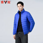 Blue stand collar / Within m 60kg