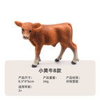 S312 Jersey bull calf 34g