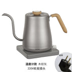 Titanium gray with thermometer 220V European gauge plug