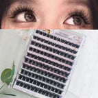 10 rows of dense MJ92