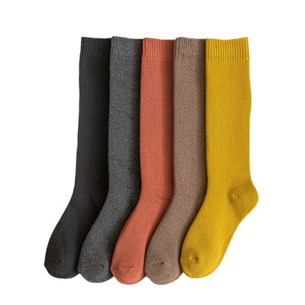 Calf Socks Women's Autumn and Winter Retro Preppy Style Extended Thickeneded Warm Heating Socks Insjk Long Terry