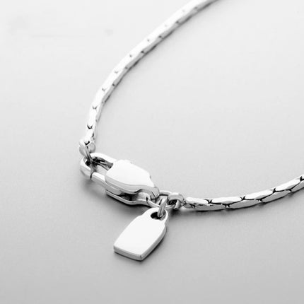 Cross-border foreign trade jewelry in stock wire chain ladies clavicle chain versatile fashion solid round snake necklace