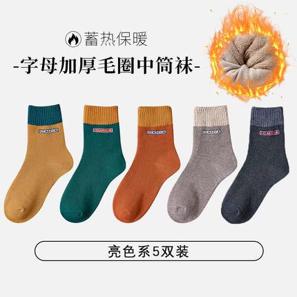 Autumn and winter fleece-lined thick socks men's terry socks deodorant warm terry socks academic style all-match ins fashionable stockings