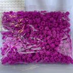 Plum red 100g 500 pieces per pack