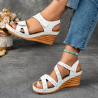 White / 36