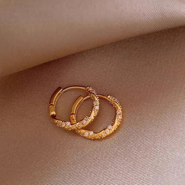 Simple Design Sense Diamond Ring Earrings Women's 2024 New Elegant Fashion Exquisite Ear Buckle Earrings Explosive Earrings