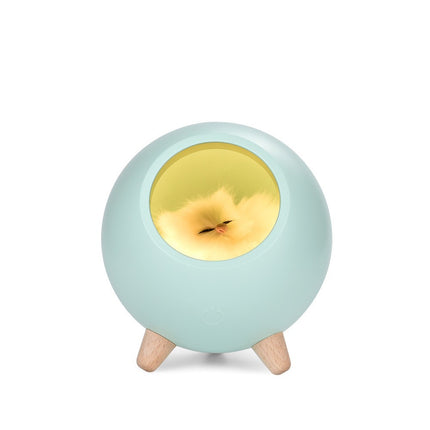 Creative Crescent Night Light Bluetooth Speaker High Color Value Ornaments Eye Protection Atmosphere Light Indoor Night Light Birthday Gift