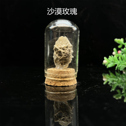 Natural Crystal Ore Specimen Ornaments Crystal Raw Stone Agate Rock Children's Science Teaching Mineral Crystal Wholesale