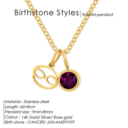 Cross-Border European and American Twelve Zodiac Signs Three-Dimensional Fashion Necklace, Light Luxury Colorful Rhinestone Birthstone Necklace, Stainless Steel Jewelry
