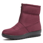 Wine red / 35