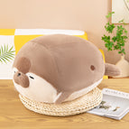 40cm0.25kg / Papa seal brown