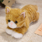 40cm(0.15 / Orange cat