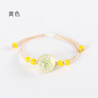 Stars' white rope [yellow]]