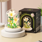 M5001 lily/light transparent cover/color box