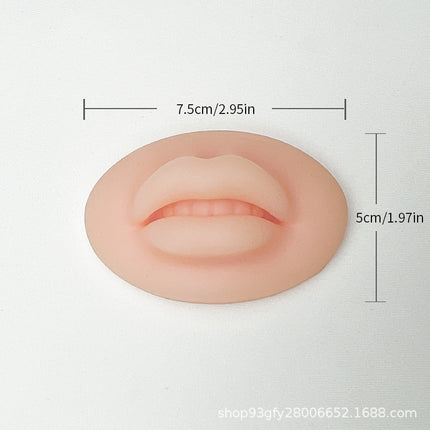 Silicone Ear Model Emulation Human Ear Stud Earrings Display Jewelry Display Bracket Puncture Perforation Tattoo Practice