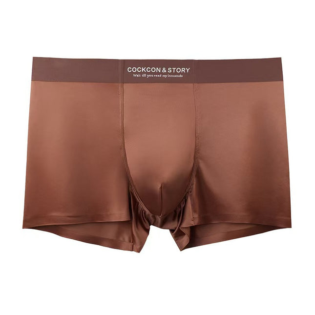 2025 New Men's Underwear Ice Silk Antibacterial Silky Brocade Satin Extended Anti-Wear Leg Sports Boys' Boxer Briefs
