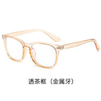 Transparent tea frame (metal hinge) / Anti-fog goggles 0 degrees