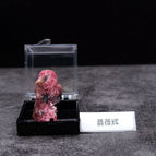 Rose glitter belt box 2- 2.5cm