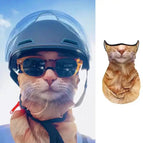 Fat orange cat / One Size