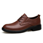 brown / 36
