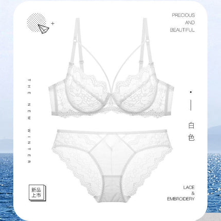 Sexy Pure Desire Underwear Bra See-Through Underwear Set Women's Sexy Lace Ultra-Thin Transparent Bra White Cross-Border