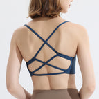Prussian blue / S
