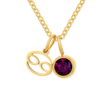 Non-Fading Titanium Steel Zodiac Necklace for Women, Birthstone Rhinestone Pendant, Clavicle Chain, European and American Style Niche Light Luxury Jewelry