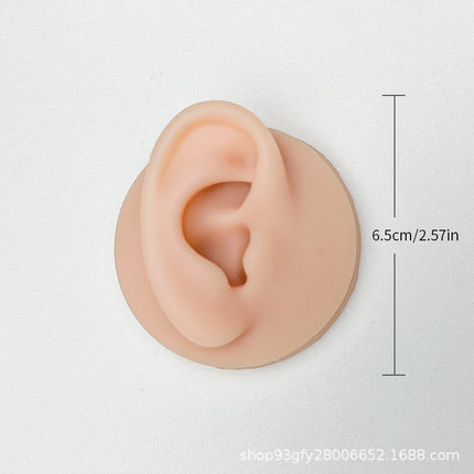 Silicone Ear Model Emulation Human Ear Stud Earrings Display Jewelry Display Bracket Puncture Perforation Tattoo Practice