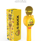 K5 microphone [cost-effective choice]]