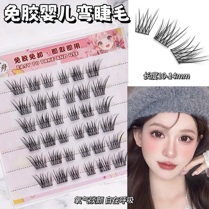 [6 Rows of Glue-Free] New Chinese Style Qingqiu Fox New Soft New Fox False Eyelashes Natural Photogenic Oblique Flying Style