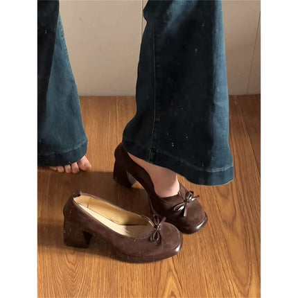 Retro Brown Suede Slip-On Bow New Shoes for Women New Summer Waterproof Platform Thick Heel Shoes