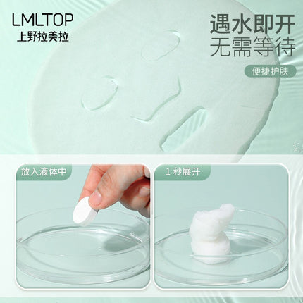 Lamera 20 Candy Bag Compressed Mask Granules Compressed Mask Paper Mask Cloth DIY Homemade Mask D0851