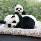 Mother and child style panda (including 200 grams of nano mineral crystal)